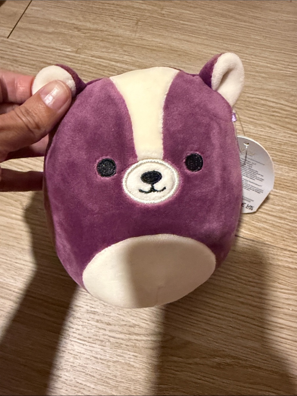 Squishmallows Sloan The Skunk 5in NWT